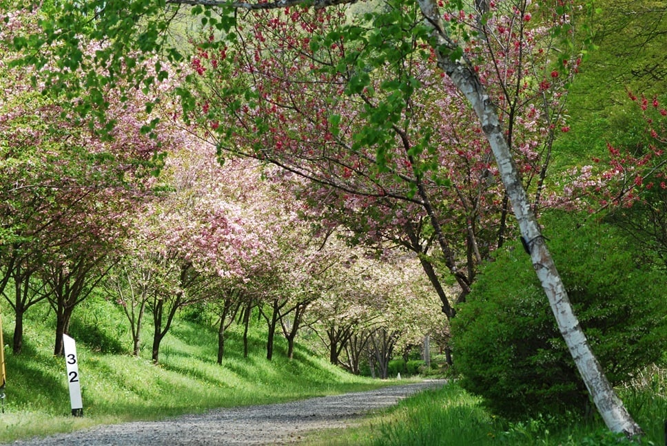 haru_haisen3 haru_haisen3